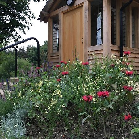 South Downs Eco Lodge & Camping East Meon المظهر الخارجي الصورة