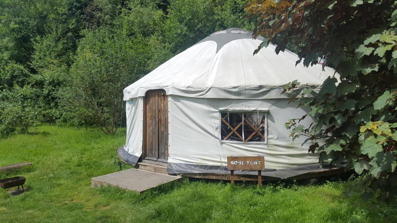 South Downs Eco Lodge & Camping East Meon المظهر الخارجي الصورة