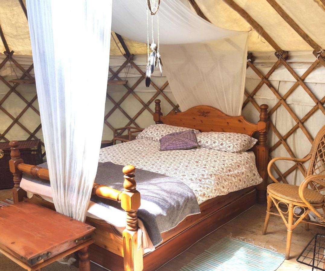 South Downs Eco Lodge & Camping East Meon المظهر الخارجي الصورة