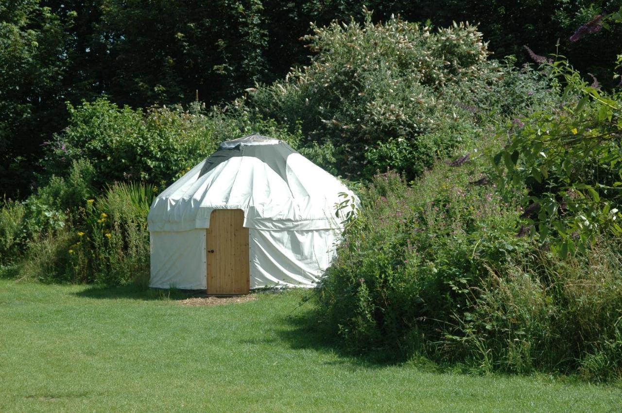 South Downs Eco Lodge & Camping East Meon المظهر الخارجي الصورة