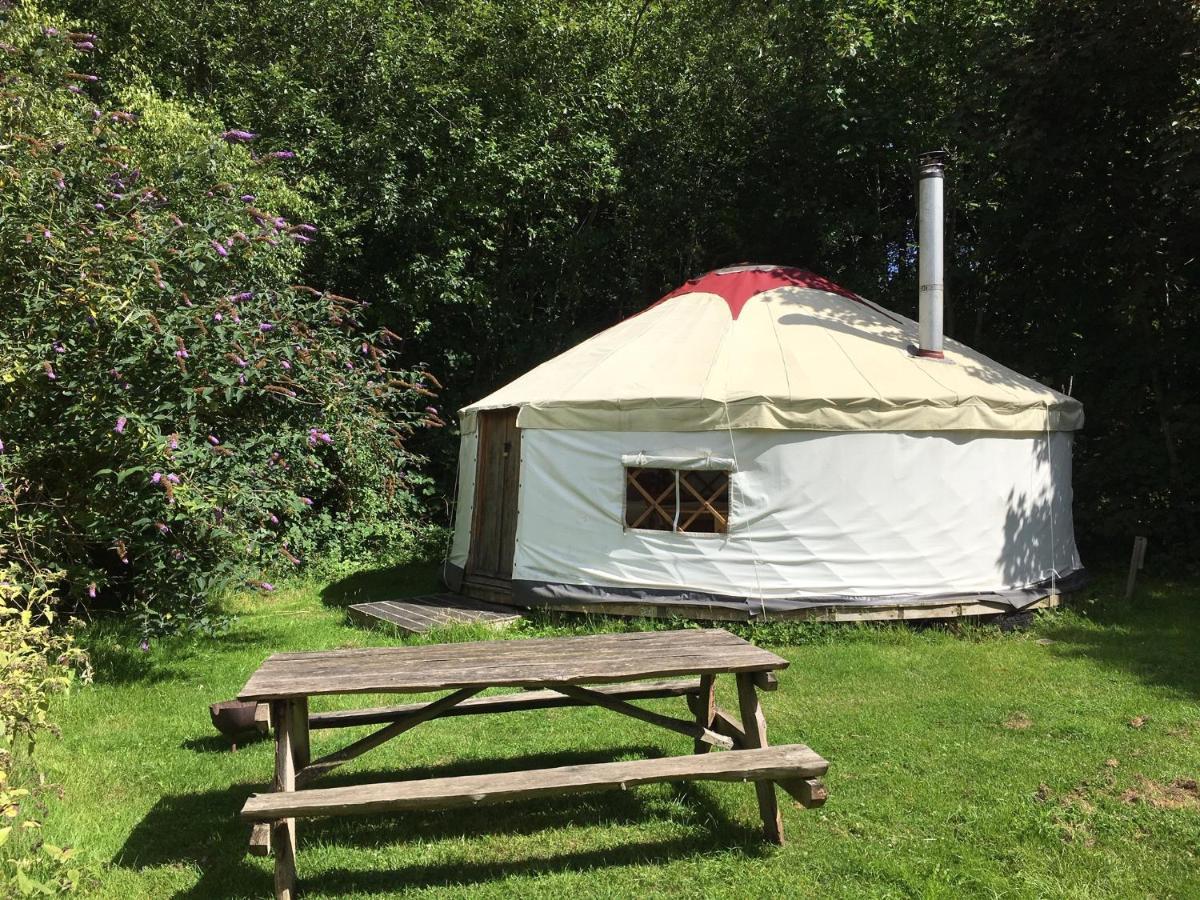 South Downs Eco Lodge & Camping East Meon المظهر الخارجي الصورة