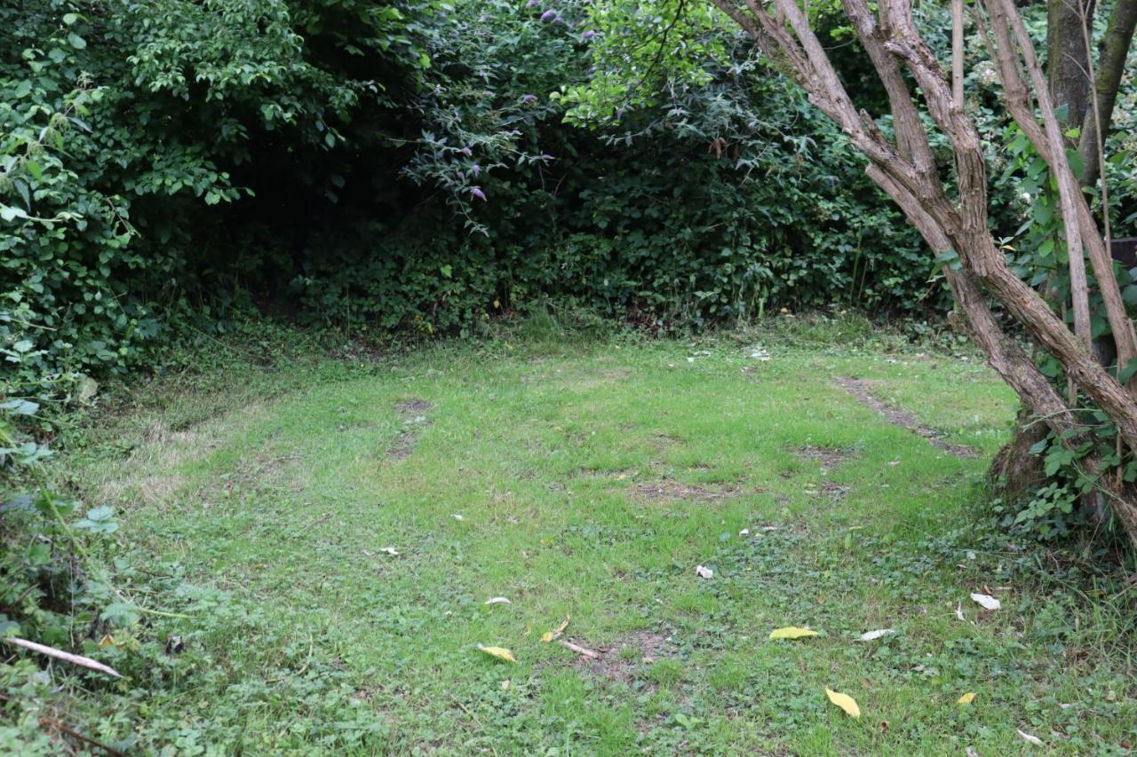 South Downs Eco Lodge & Camping East Meon المظهر الخارجي الصورة