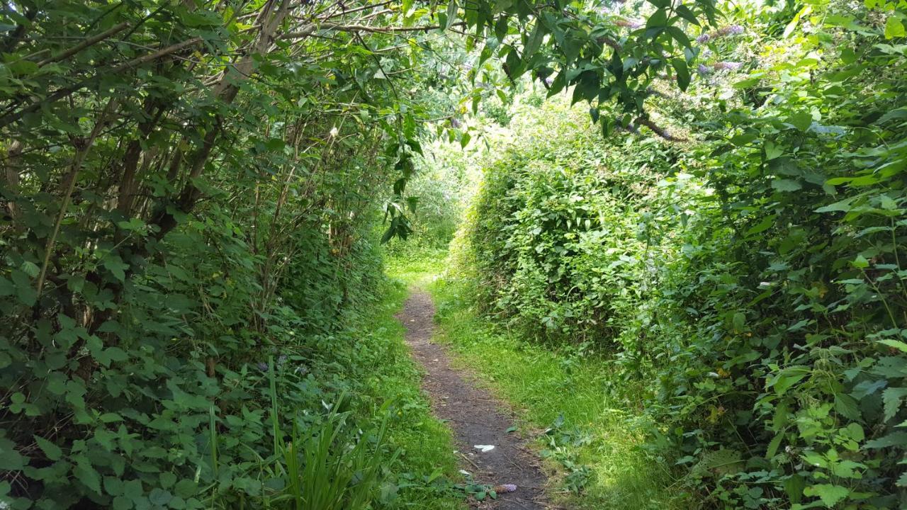 South Downs Eco Lodge & Camping East Meon المظهر الخارجي الصورة