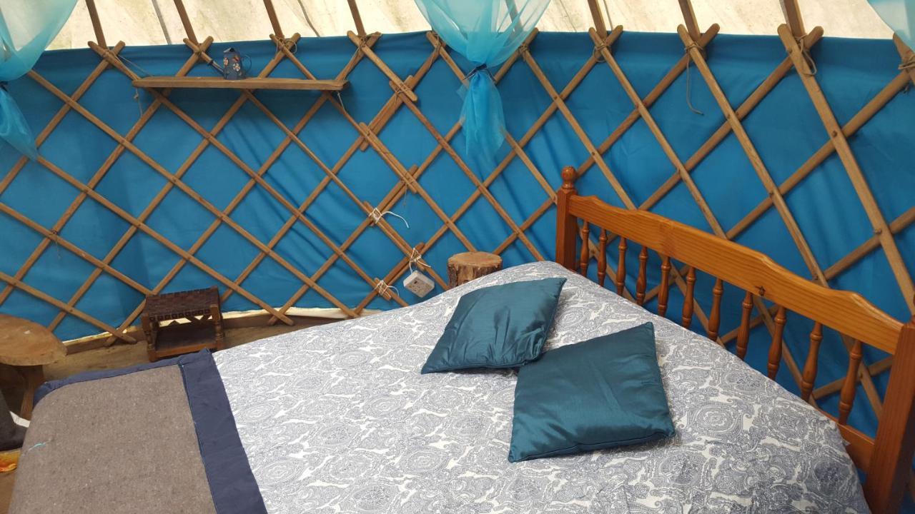South Downs Eco Lodge & Camping East Meon المظهر الخارجي الصورة