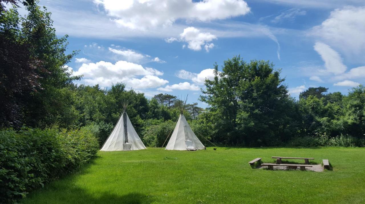 South Downs Eco Lodge & Camping East Meon المظهر الخارجي الصورة