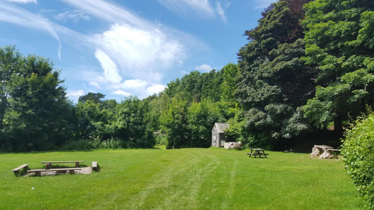 South Downs Eco Lodge & Camping East Meon المظهر الخارجي الصورة