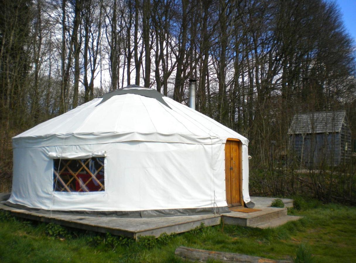 South Downs Eco Lodge & Camping East Meon المظهر الخارجي الصورة