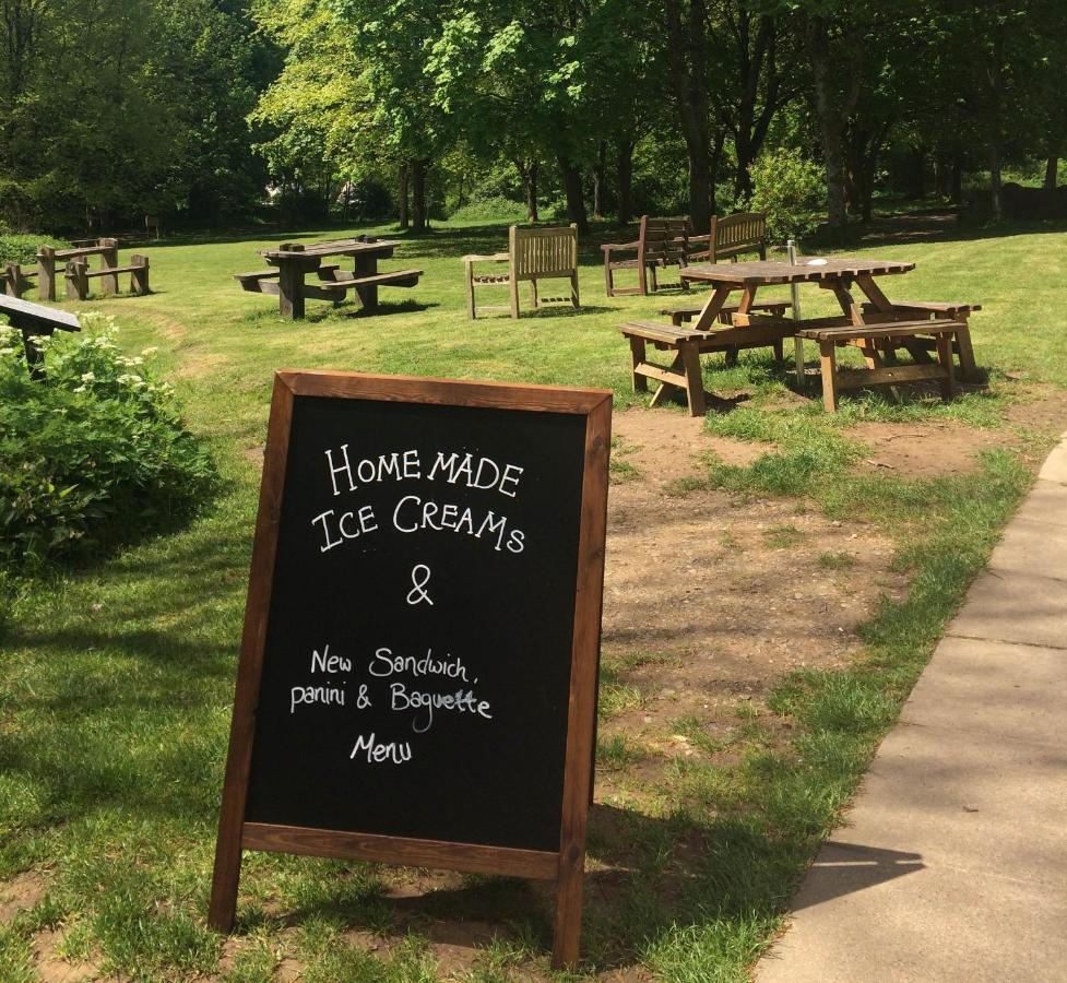 South Downs Eco Lodge & Camping East Meon المظهر الخارجي الصورة