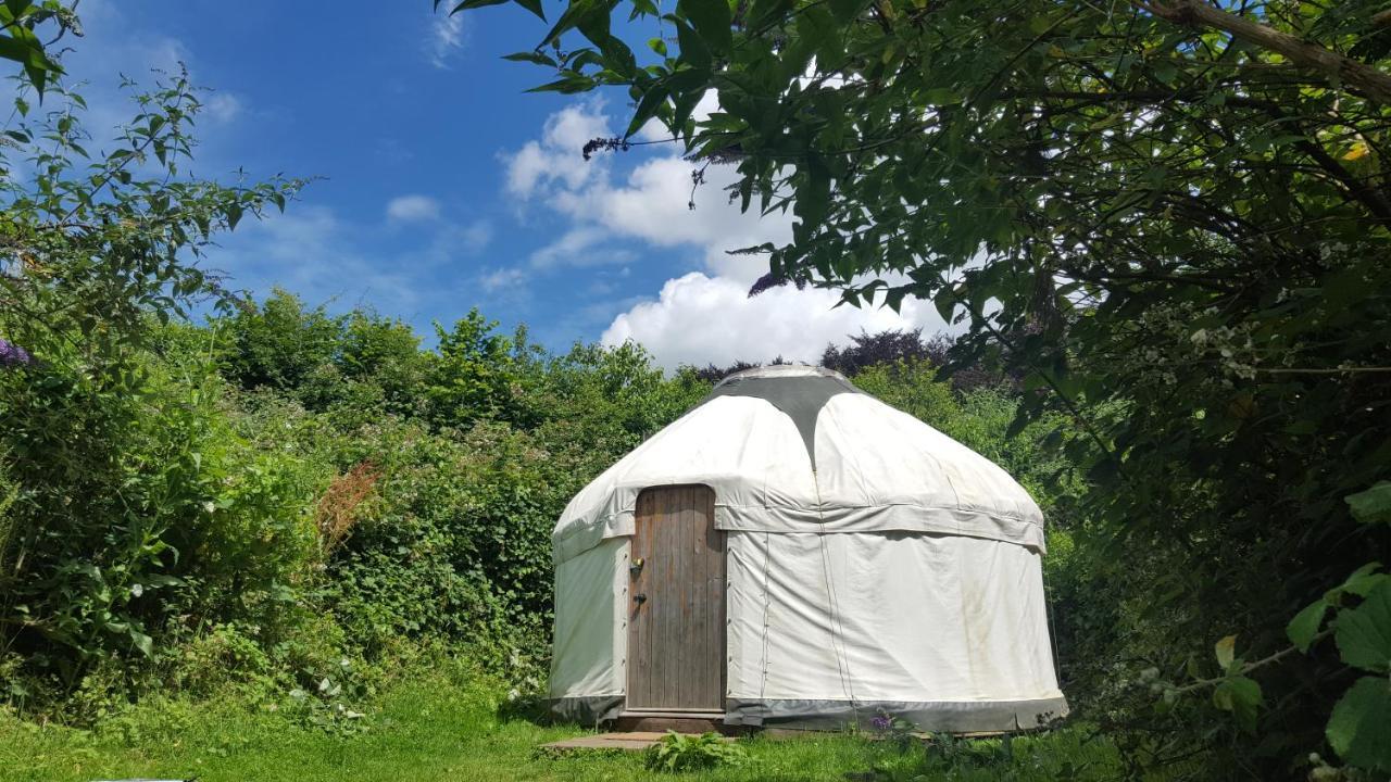 South Downs Eco Lodge & Camping East Meon المظهر الخارجي الصورة