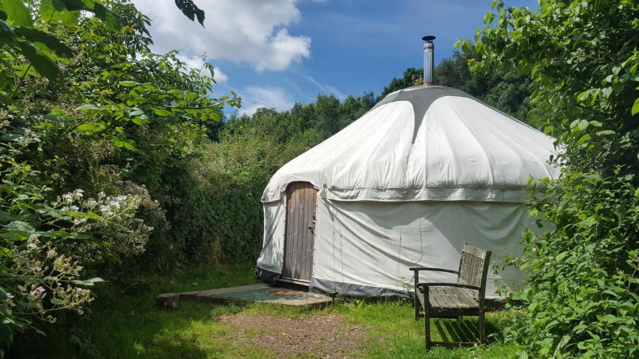 South Downs Eco Lodge & Camping East Meon المظهر الخارجي الصورة