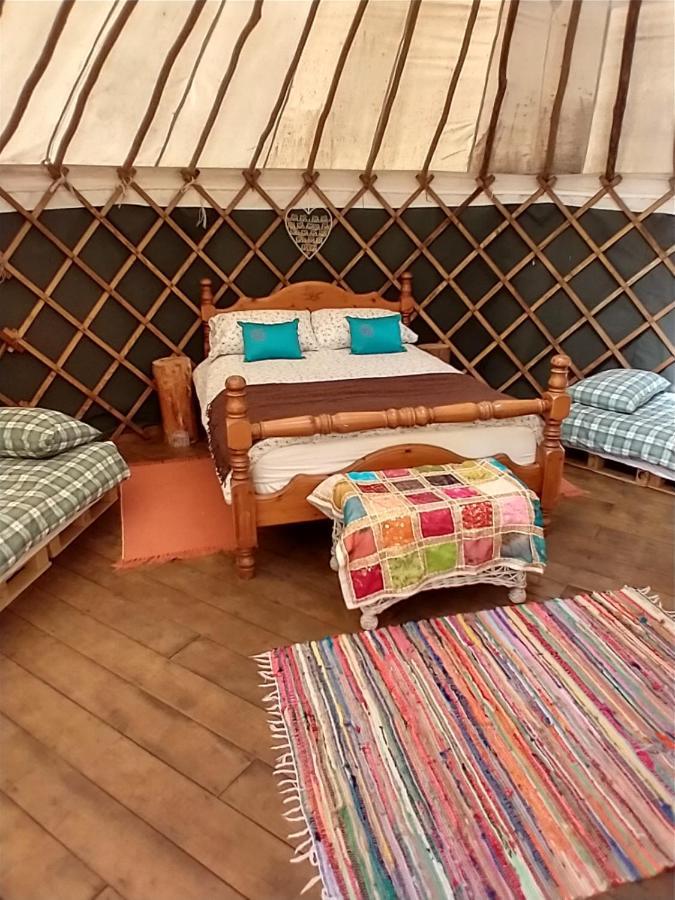 South Downs Eco Lodge & Camping East Meon المظهر الخارجي الصورة